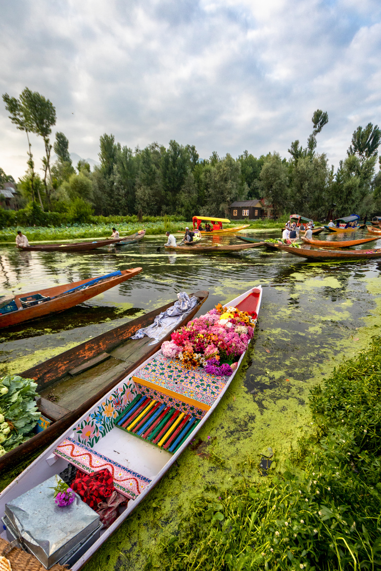 Dal lake in Srinagar Kashmir